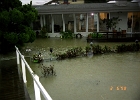 Flood 0002