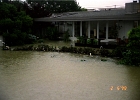 Flood 0003