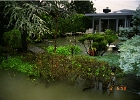 Flood 0005
