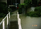 Flood 0007