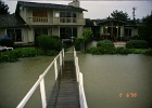 Flood 0008