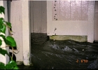 Flood 0012