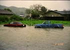 Flood 0015