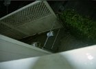 Flood 0021