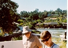 BackYard-02