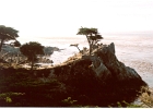 Carmel-06