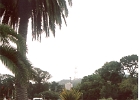 Golden Gate Park-02