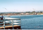 Santa Cruz-02
