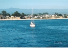 Santa Cruz Seals-06