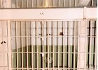 Alcatraz-35