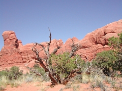 04 - Richfield to Moab - Arches