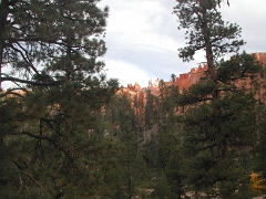 08 - Torrey to Panguish-Bryce