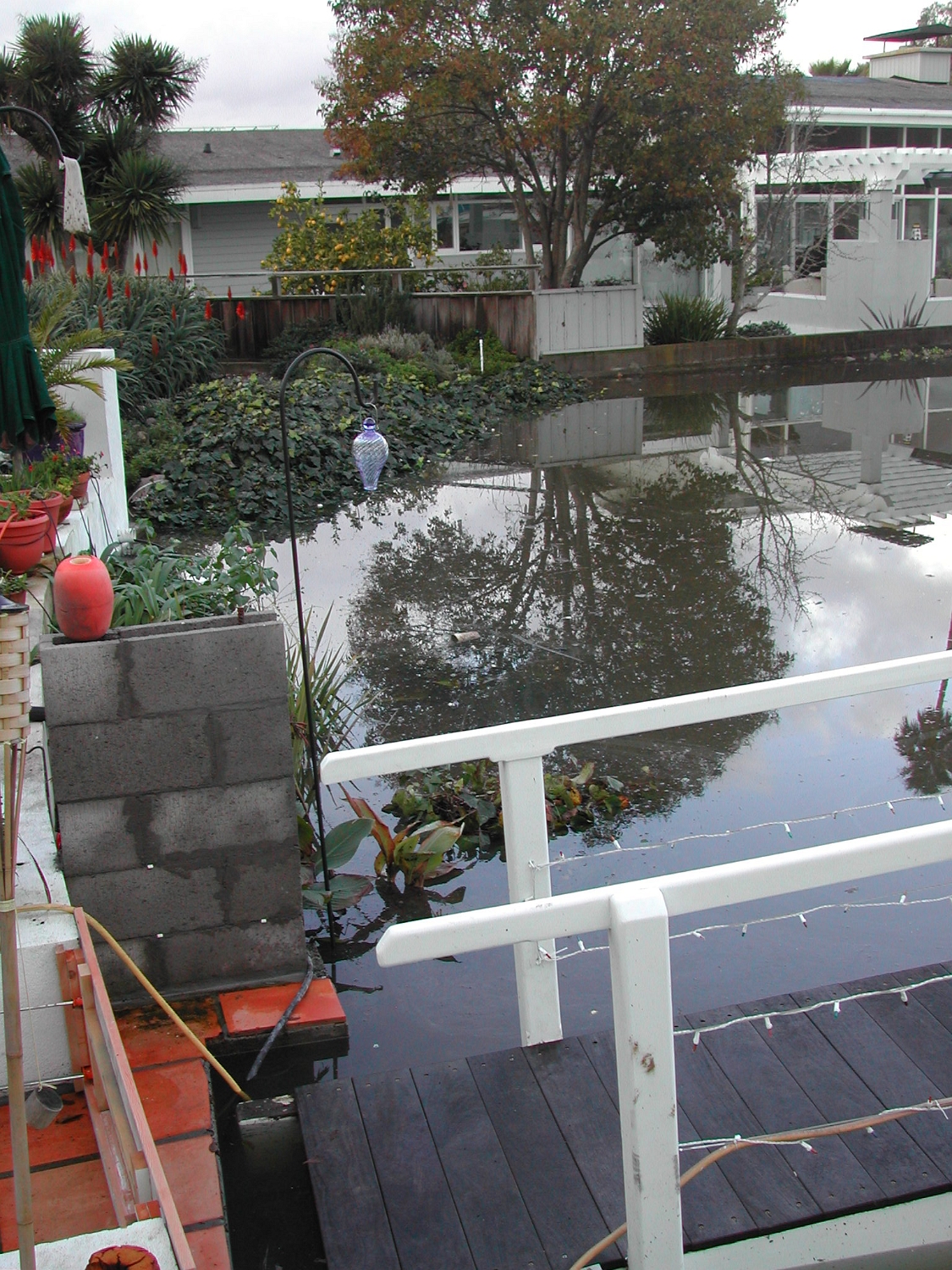 Flood-Day-2.2005-01-09 001