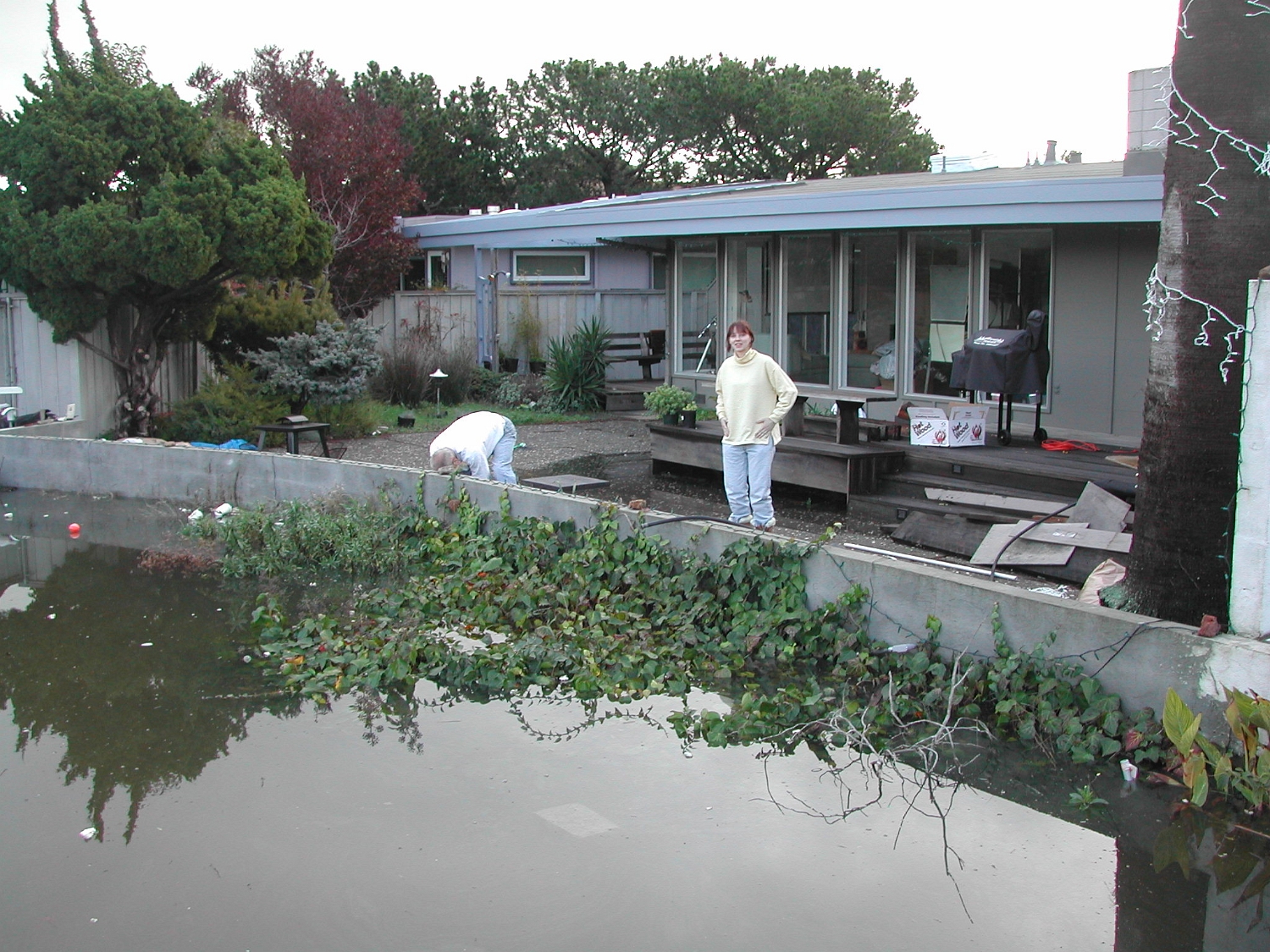 Flood-Day-2.2005-01-09 003