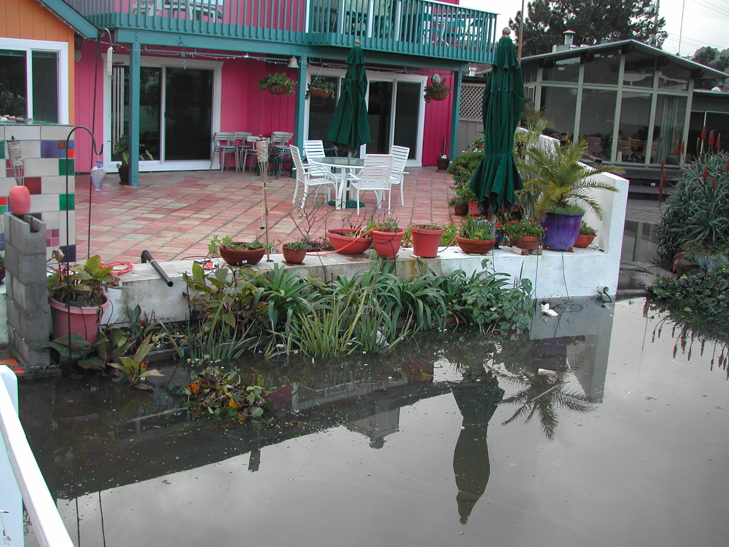 Flood-Day-2.2005-01-09 006