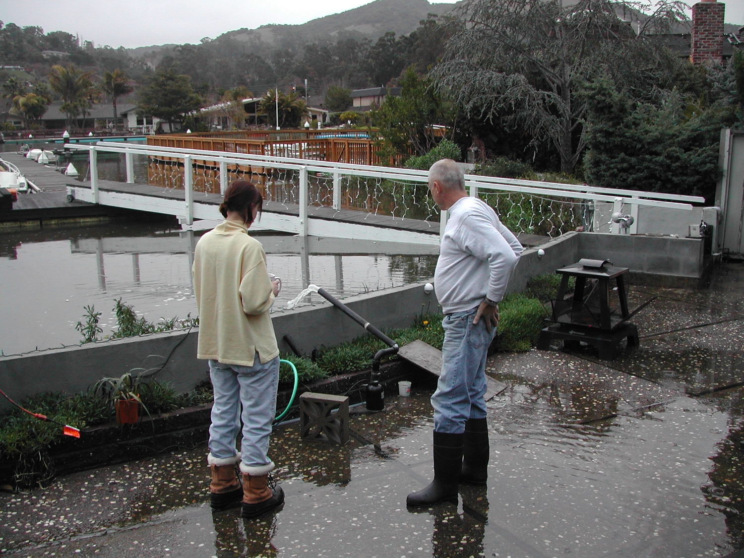Flood-Day-2.2005-01-09 015