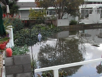 Flood-Day-2.2005-01-09 001