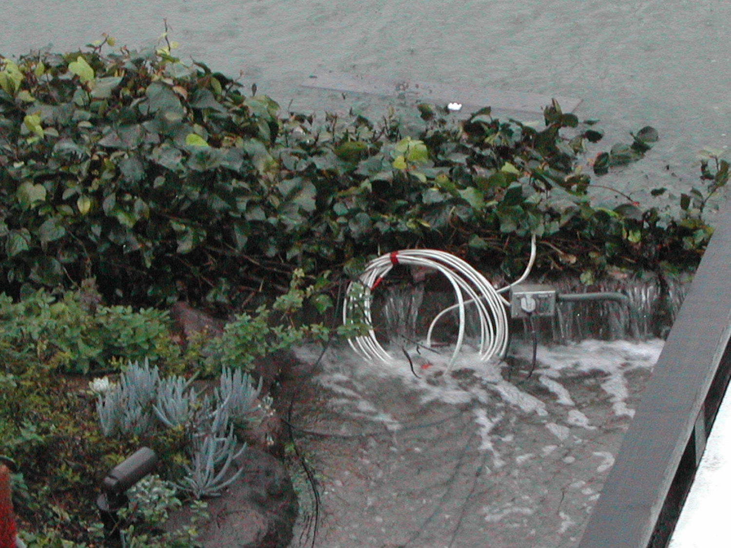 Flood-Day-1.2005-01-07 032