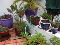 Flood-Day-1.2005-01-07 027