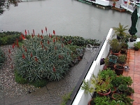 Flood-Day-1.2005-01-07 033