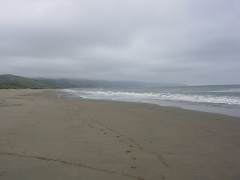 Limantour