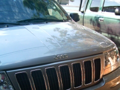 New folder-1