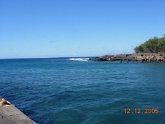 Sugar Mill