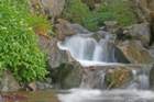 creek_small.jpg