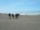 lostcoast009_small.jpg