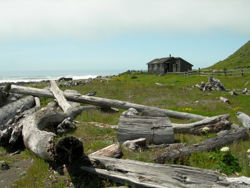 lostcoast029.jpg