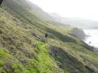 lostcoast092_small.jpg
