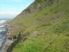 lostcoast093_small.jpg