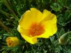 lostcoast107_small.jpg
