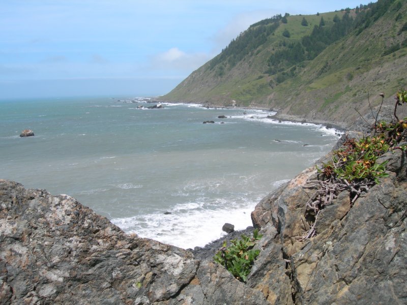 lostcoast123.jpg