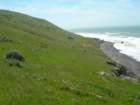lostcoast127_small.jpg