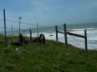 lostcoast134_small.jpg