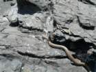 lostcoast147_small.jpg