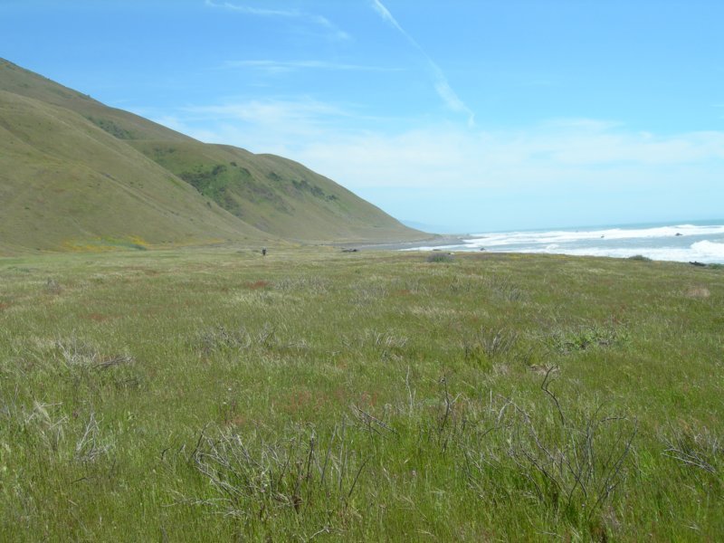 lostcoast151.jpg
