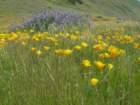 lostcoast157_small.jpg