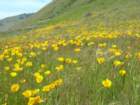 lostcoast159_small.jpg