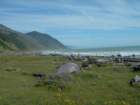 lostcoast168_small.jpg