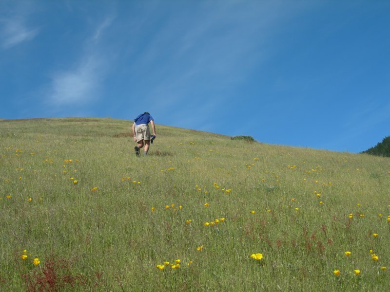 lostcoast176.jpg