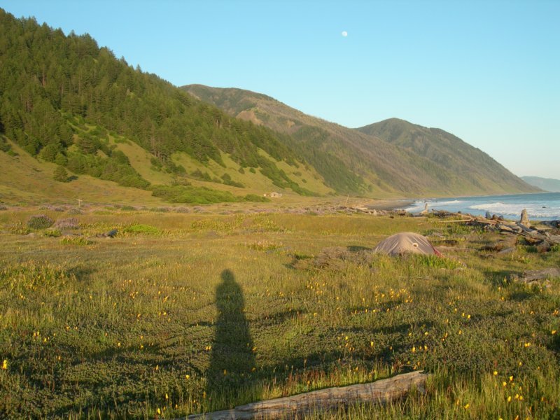 lostcoast208.jpg
