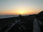 lostcoast230_small.jpg