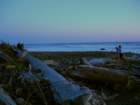 lostcoast235_small.jpg