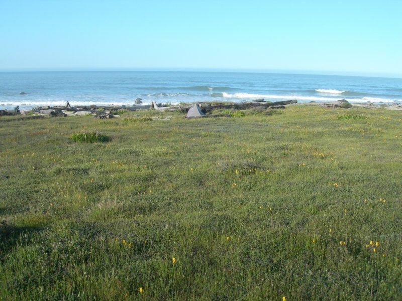 lostcoast246.jpg