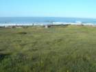 lostcoast246_small.jpg