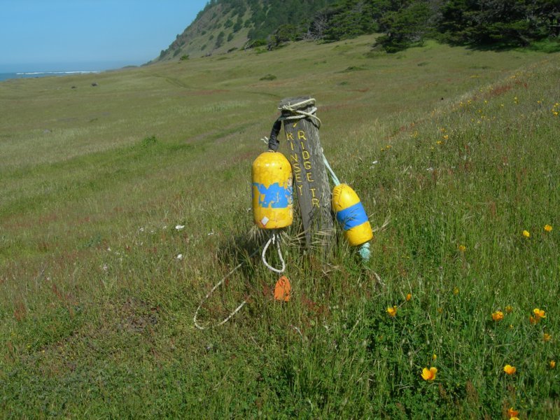 lostcoast255.jpg