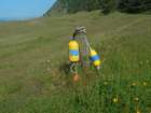 lostcoast255_small.jpg