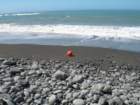 lostcoast256_small.jpg